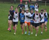 RELACJA Lubin Cross Country Races 2024